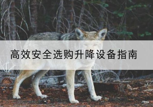 歙县升降货梯厂家推荐-*安全选购升降设备指南