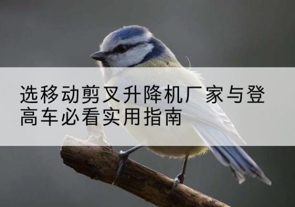 歙县电动升降机厂家-选移动剪叉升降机厂家与登高车必看实用指南